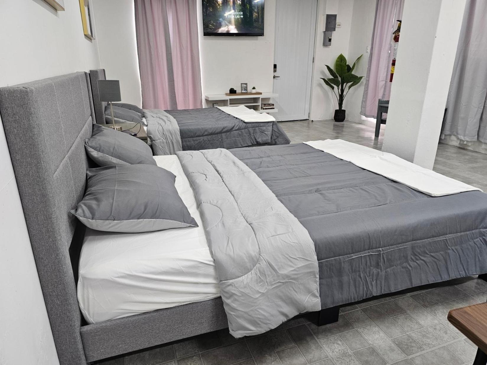 Ceiba Salmos 23 Acogedor Apartamento Estudio מראה חיצוני תמונה